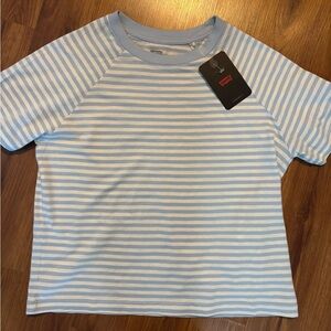 Women's Levis Blue Striped Shirt